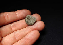Load image into Gallery viewer, Crucilobiceras pyrite ammonite fossil (18 mm)