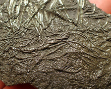 Load image into Gallery viewer, Detailed pyrite crinoid fossil (66 mm) Pentacrinites