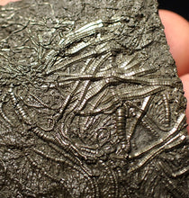 Load image into Gallery viewer, Detailed pyrite crinoid fossil (66 mm) Pentacrinites