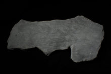 Load image into Gallery viewer, Big detailed crinoid fossil head (240 mm) <em>Pentacrinites</em>