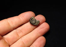 Load image into Gallery viewer, Crucilobiceras pyrite ammonite fossil (17 mm)