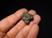 Load image into Gallery viewer, Full pyrite multi-ammonite fossil (26 mm) Crucilobiceras
