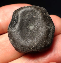 Load image into Gallery viewer, Jurassic ichthyosaur bone (vertebra) from Lyme Regis (27mm)