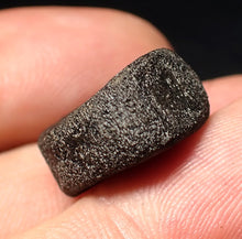 Load image into Gallery viewer, Jurassic ichthyosaur bone (vertebra) from Lyme Regis (17mm)