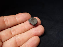 Load image into Gallery viewer, Jurassic ichthyosaur bone (vertebra) from Lyme Regis (14mm)
