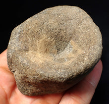 Load image into Gallery viewer, Large Jurassic ichthyosaur bone (vertebra) from Lyme Regis (74mm)