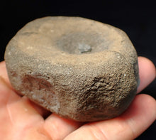 Load image into Gallery viewer, Large Jurassic ichthyosaur bone (vertebra) from Lyme Regis (74mm)