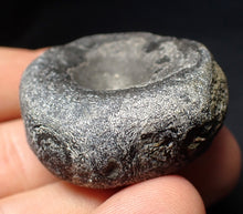 Load image into Gallery viewer, Jurassic ichthyosaur bone (vertebra) from Lyme Regis (38mm)