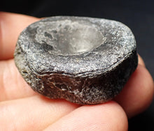 Load image into Gallery viewer, Jurassic ichthyosaur bone (vertebra) from Lyme Regis (38mm)