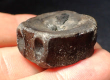 Load image into Gallery viewer, Jurassic ichthyosaur bone (vertebra) from Lyme Regis (31mm)