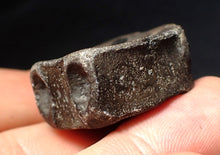 Load image into Gallery viewer, Jurassic ichthyosaur bone (vertebra) from Lyme Regis (31mm)
