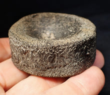Load image into Gallery viewer, Large Jurassic ichthyosaur bone (vertebra) from Lyme Regis (55mm)