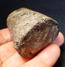 Load image into Gallery viewer, Jurassic ichthyosaur coprolite (poo) from Lyme Regis (55mm)