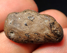 Load image into Gallery viewer, Jurassic ichthyosaur coprolite (poo) from Lyme Regis (25mm)