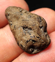 Load image into Gallery viewer, Jurassic ichthyosaur coprolite (poo) from Lyme Regis (25mm)