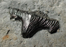 Load image into Gallery viewer, Jurassic hybodont shark's tooth from Lyme Regis (17mm)