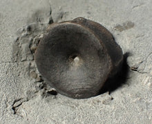Load image into Gallery viewer, Jurassic ichthyosaur bones (vertebrae & coracoid) in shale from Lyme Regis