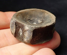 Load image into Gallery viewer, Large high-quality Jurassic ichthyosaur bone (vertebra) from Lyme Regis (32mm)