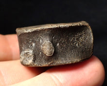 Load image into Gallery viewer, Large high-quality Jurassic ichthyosaur bone (vertebra) from Lyme Regis (32mm)