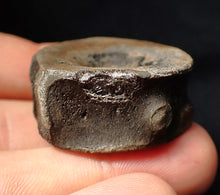 Load image into Gallery viewer, Large high-quality Jurassic ichthyosaur bone (vertebra) from Lyme Regis (32mm)