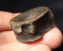 Load image into Gallery viewer, Large high-quality Jurassic ichthyosaur bone (vertebra) from Lyme Regis (32mm)