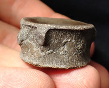 Load image into Gallery viewer, Large high-quality Jurassic ichthyosaur bone (vertebra) from Lyme Regis (32mm)