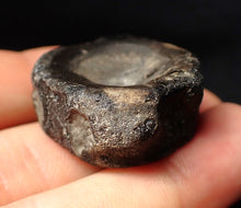 Load image into Gallery viewer, Large Jurassic ichthyosaur bone (vertebra) from Lyme Regis (31mm)