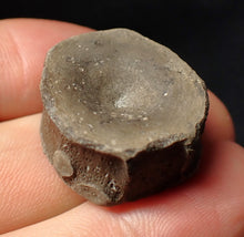 Load image into Gallery viewer, Jurassic ichthyosaur bone (vertebra) from Lyme Regis (28mm)