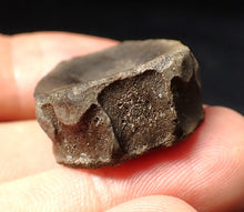 Load image into Gallery viewer, Jurassic ichthyosaur bone (vertebra) from Lyme Regis (28mm)