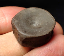 Load image into Gallery viewer, High quality Jurassic ichthyosaur bone (vertebra) from Lyme Regis (22mm)