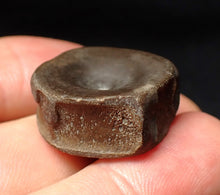 Load image into Gallery viewer, High quality Jurassic ichthyosaur bone (vertebra) from Lyme Regis (22mm)