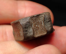 Load image into Gallery viewer, High quality Jurassic ichthyosaur bone (vertebra) from Lyme Regis (22mm)