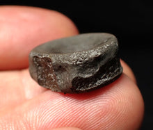 Load image into Gallery viewer, Jurassic ichthyosaur bone (vertebra) from Lyme Regis (21mm)