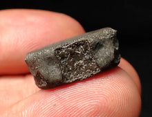 Load image into Gallery viewer, Jurassic ichthyosaur bone (vertebra) from Lyme Regis (21mm)