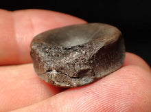 Load image into Gallery viewer, Jurassic ichthyosaur bone (vertebra) from Lyme Regis (22mm)