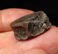Load image into Gallery viewer, Jurassic ichthyosaur bone (vertebra) from Lyme Regis (22mm)