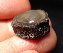 Load image into Gallery viewer, Jurassic ichthyosaur bone (vertebra) from Lyme Regis (20mm)