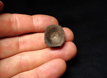 Load image into Gallery viewer, Jurassic ichthyosaur bone (vertebra) from Lyme Regis (21mm)