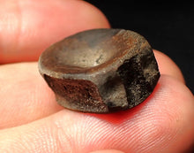 Load image into Gallery viewer, Jurassic ichthyosaur bone (vertebra) from Lyme Regis (21mm)