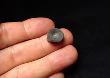 Load image into Gallery viewer, Juvenile Jurassic ichthyosaur bone (vertebra) from Lyme Regis (13mm)