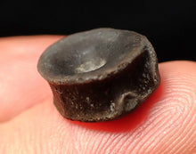 Load image into Gallery viewer, Juvenile Jurassic ichthyosaur bone (vertebra) from Lyme Regis (13mm)
