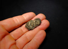 Load image into Gallery viewer, Pyrite multi-ammonite fossil (31 mm)