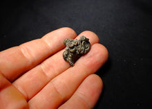 Load image into Gallery viewer, Pyrite multi-ammonite fossil (23 mm)