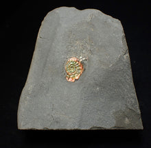 Load image into Gallery viewer, Tiny juvenile iridescent Caloceras display ammonite fossil 13mm
