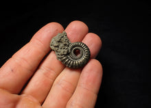 Load image into Gallery viewer, Large Crucilobiceras pyrite ammonite (35 mm)