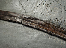 Load image into Gallery viewer, Large Jurassic ichthyosaur rib from Lyme Regis