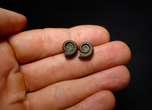 Load image into Gallery viewer, Matched pair of Crucilobiceras pyrite ammonite fossil (13 mm)