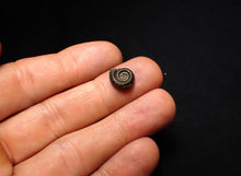 Load image into Gallery viewer, Crucilobiceras pyrite ammonite fossil (11 mm)