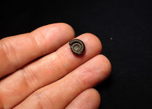 Load image into Gallery viewer, Crucilobiceras pyrite ammonite fossil (11 mm)