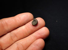 Load image into Gallery viewer, Crucilobiceras pyrite ammonite fossil (11 mm)